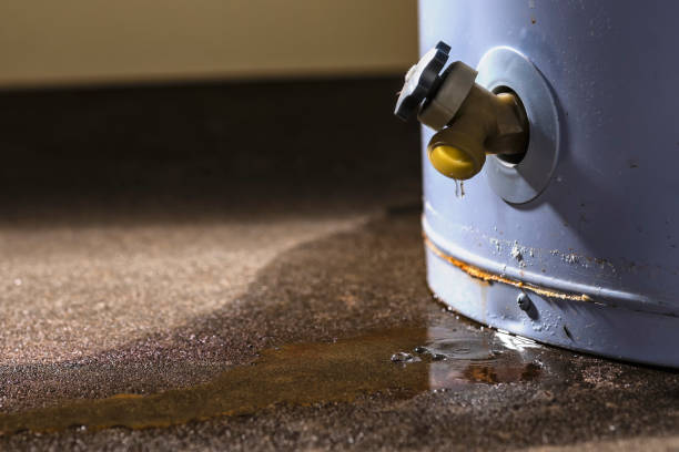 Best Basement water damage restoration  in Lillington, NC