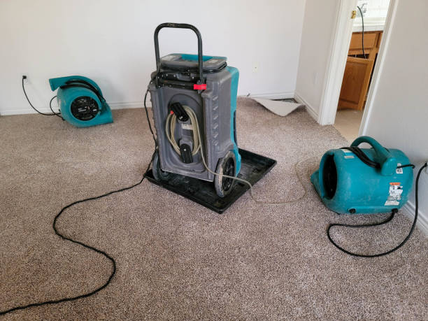 Local water damage restoration in Lillington, NC