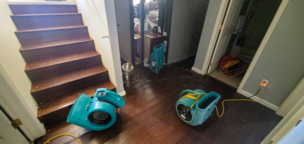 Trusted Lillington, NC Water damage restoration Experts