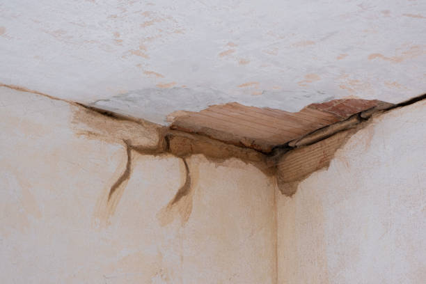 Carpet water damage restoration in Lillington, NC