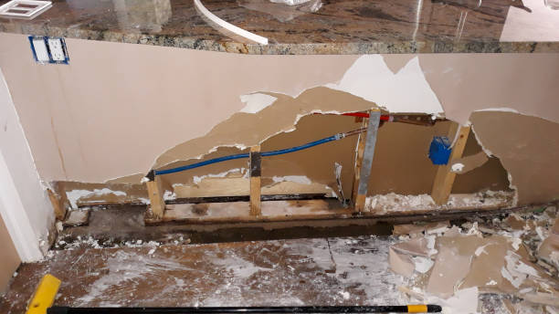 Best Flood damage cleanup  in Lillington, NC