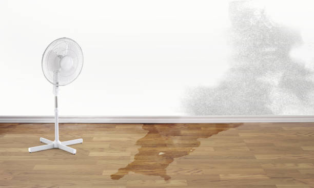 Best Water damage restoration services  in Lillington, NC