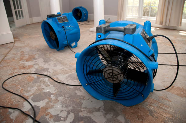 Best Flooded house restoration  in Lillington, NC