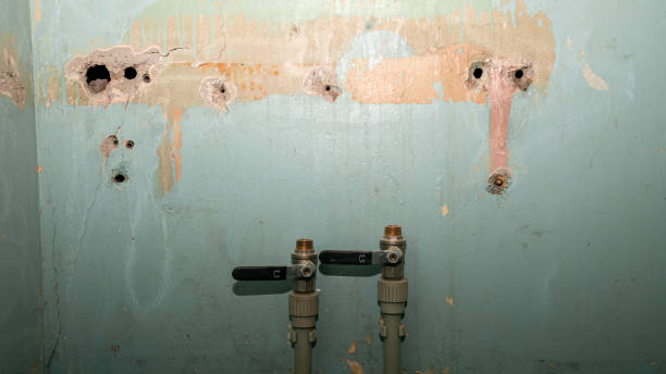 Best 24-hour water damage restoration  in Lillington, NC