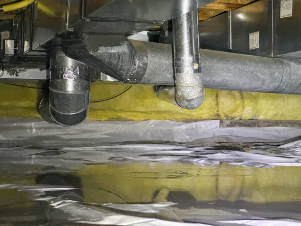 Best 24/7 water damage repair  in Lillington, NC