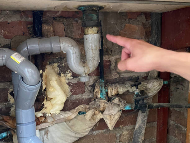 Best Water damage restoration near me  in Lillington, NC