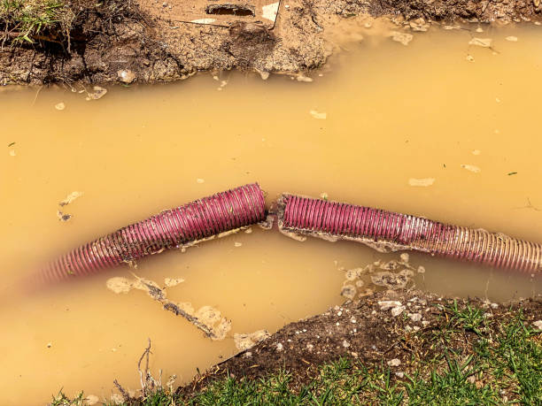 Best Water damage restoration mold remediation  in Lillington, NC