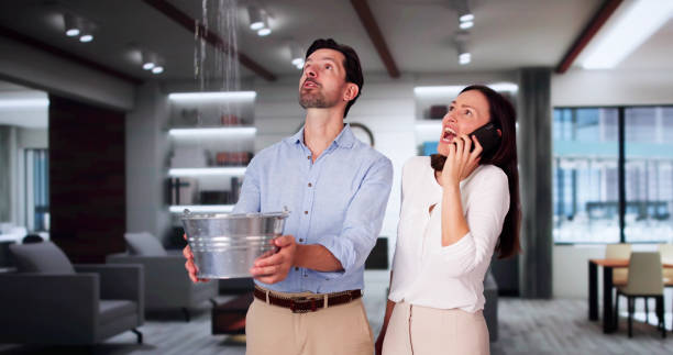 Best Basement water damage restoration  in Lillington, NC
